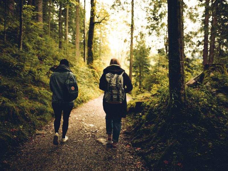 Two people walking in forest